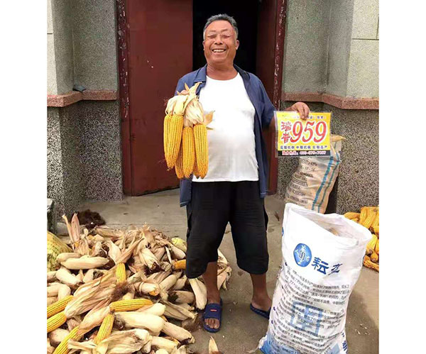 http://www.dgll.com.cn/Item/Show.asp?m=2&d=1126